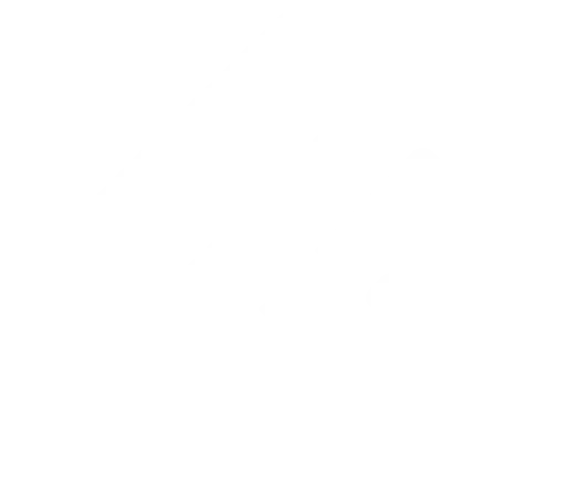 SB Electronic Store